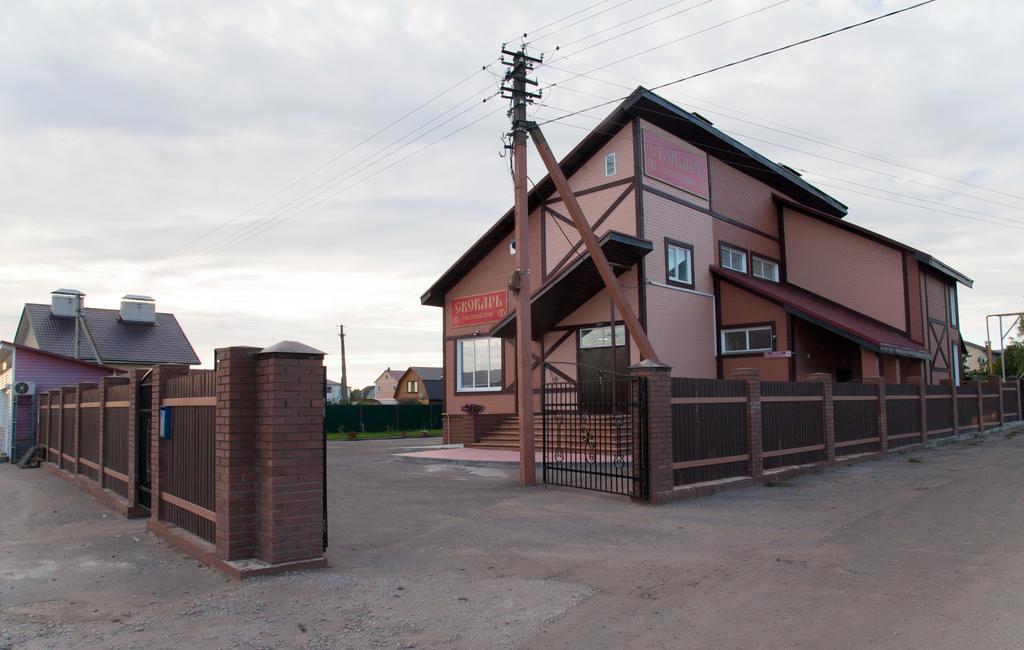 Skobar Mini Hotel プスコフ エクステリア 写真